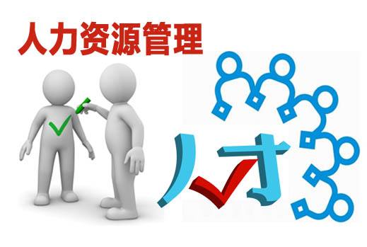 投标人人力资源情况